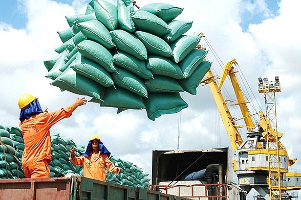 Xuất khẩu gạo: Doanh nghiệp hoàn thành đăng ký tờ khai hải quan lên hệ thống điện tử chỉ trong 7 giây