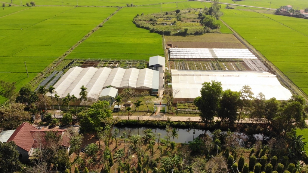 Quảng Nam: Hỗ trợ, xây dựng Hệ sinh thái khởi nghiệp đổi mới sáng tạo trên địa bàn